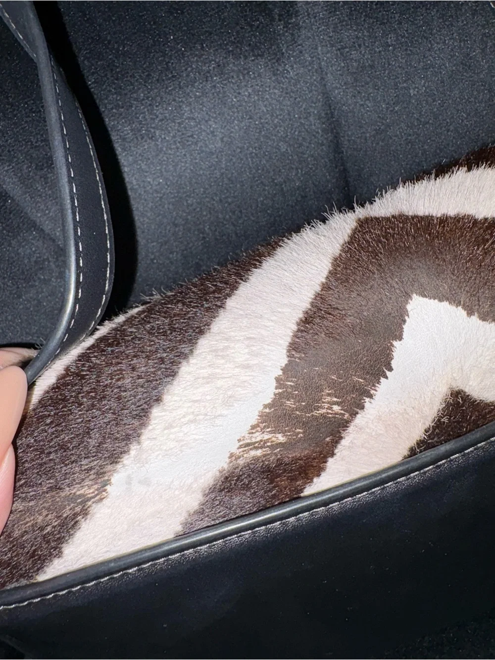 Coach bag Zebra-Print Crossbody